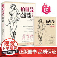 珍藏版 伯里曼人体结构教学 人物速写入门基础绘画临摹书籍sh