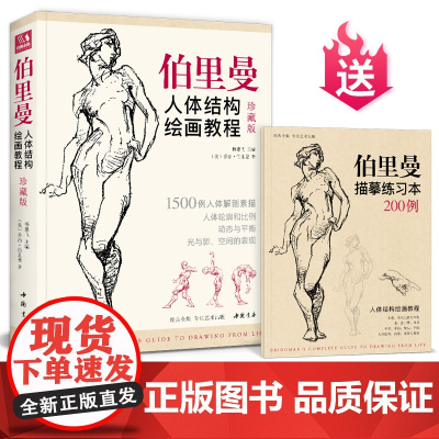 珍藏版 伯里曼人体结构教学 人物速写入门基础绘画临摹书籍sh
