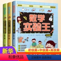 [套装3册]数学实验王 [正版]数学实验王时间怎么能称出来全3册趣味科学推理想象思维训练游戏书一二三四五六年级小学生暑假