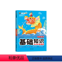 初中数学[基础知识与中考易错题] 初中通用 [正版]2024初中数学基础知识与中考易错题大全七八九年级数学初一初二初三总