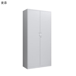 麦添 二门档案柜文件柜 WJG022 个