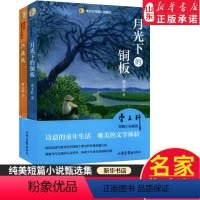 月光下的铜板+芦荻秋·共2本 [正版]曹文轩纯美长篇小说精装典藏版 草房子樱桃小庄 红瓦黑瓦 根鸟 细米 蜻蜓眼 青铜葵