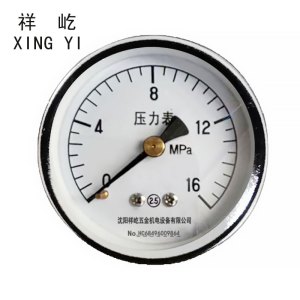 祥屹 压力表轴向检测定制型 Y40Z 块