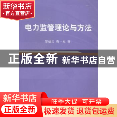 正版 电力监管理论与方法 黎灿兵,曹一家著 科学出版社 97870304