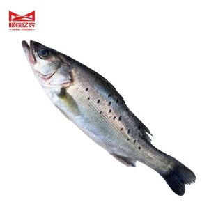 哈铁亿农 鲈鱼 10kg/件
