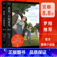 [正版]杀死一只知更鸟 图像小说 外国文学 长篇小说 文字上忠实原 图文并茂更好读 沉浸的故事体验 文化出品