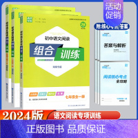 语文阅读组合训练 湖南专用 八年级/初中二年级 [正版]2024版通城学典初中语文阅读组合训练七年级八年级九年级全一册湖