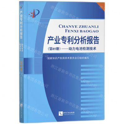 [N]产业专利分析报告(第85册动力电池检测技术)-9787513082198