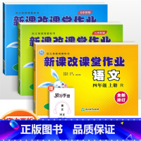 四年级上册语数英3本 小学四年级 [正版]2022版 新课改课堂作业语文数学英语四4年级上册下册人教版RJ北京版大白兔练