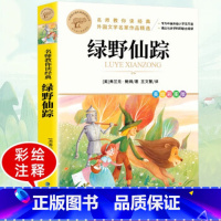 绿野仙踪 [正版]绿野仙踪 名师教你读经典名著世界儿童文学小学生课外阅读书籍经典书目三四五六年级8-10-12周岁青少年