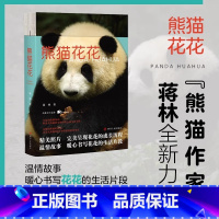 [正版]熊猫花花