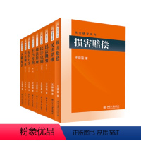 [正版]王泽鉴民法研究系列九阳真经全套九册含损害赔偿民法思维概要总则物权债法原理不当得利侵权行为人格权法