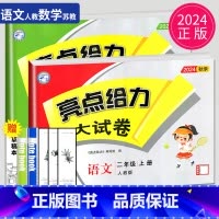 [正版]2024秋亮点给力大试卷二年级上册语文数学人教版RJ苏教版SJ江苏小学2年级学期单元期中期末测试卷同步跟踪全程检