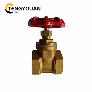 腾友安铜闸阀DN40/个