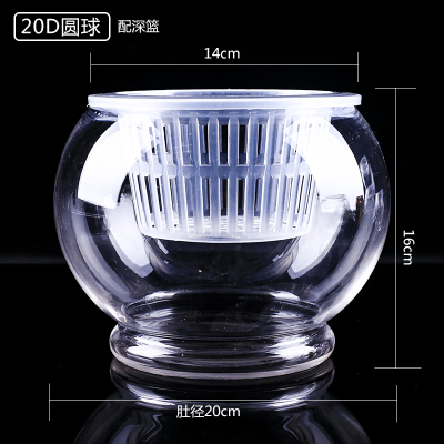 子暄花盆玻璃花瓶花瓶圆球水培植物器皿风信子透明玻璃圆球花瓶水培绿萝红掌玻璃瓶