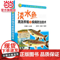 水产高效健康养殖丛书--淡水鱼高效养殖与疾病防治技术 汪建国 化学工业出版社 正版书籍
