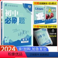 [沪科版]数学 九年级下 [正版]2024版初中必刷题九年级上册下册数学沪科版HK初三上册数学沪科版同步训练复习中考专项