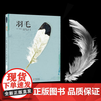 羽毛 7-10岁 布里塔·泰肯徳普 著 从一片轻盈的羽毛开始 深入羽毛世界 探寻鸟类的美和生存智慧 科普百科