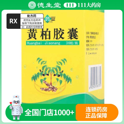 新峰 黄柏胶囊 1g*36粒*1瓶/盒