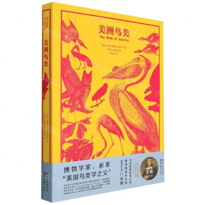 [N]美洲鸟类(精)-9787571212476