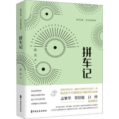 拼车记(陈武文集·北京追梦故事)