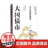 大国债市 中美比较的视角 王永钦等 著 金融