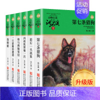 [正版]动物小说大王沈石溪品藏书系 升级版绿色封面套装 全套6册含后一头战象等四五六年级中小学生课外读物/浙江少儿社/2