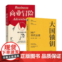 大国锁钥+商业冒险 曾航等 著 经济