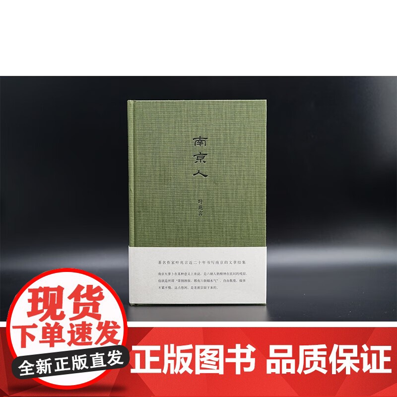 南京人 叶兆言 著 文学