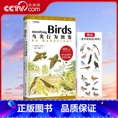 [正版]央视网鸟类行为图鉴 多米尼克卡曾斯 野外观鸟大师课鸟类爱好者实用宝典观鸟进阶手册中国国家地理鸟类动物行为手绘科