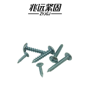 兆远紧固 大扁头自攻螺钉(个)(6*40)