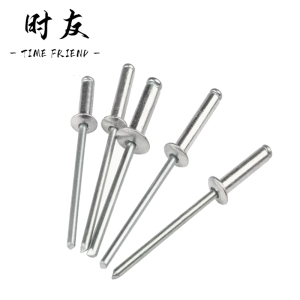 时友 TIME FRIEND 不锈钢拉铆钉 2.5*12 个