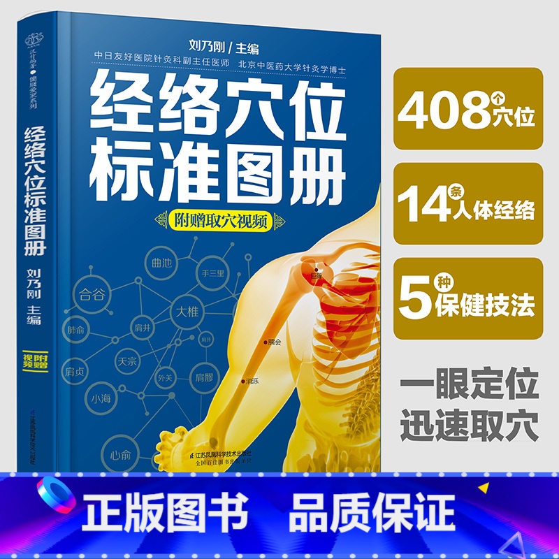 张秀勤精准刮痧 [正版]书籍经络穴位标准图册(汉竹)中医推拿按摩书养生书籍大全养生人体经络穴位图解书 日常保健 配取穴视