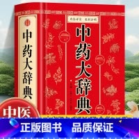 中草药对照使用图鉴 [正版]中药大辞典 精装版全套 原版 中药学书籍词典 辞典中药书中药材中药字典中医药大词典药学医学工