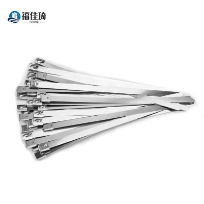 福佳琦 不锈钢扎带 4.6*1000mm 根