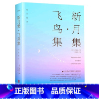 新月集飞鸟集 [正版]新月集飞鸟集 泰戈尔著 生如夏花诗选选集 中英双语版 全新精美珍藏版 英汉对照 郑振铎译 初高中生