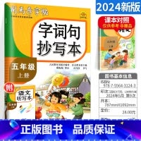 [正版]司马彦生字抄写本五年级上册 人教版小学生5年级上册语文字词句同步练字帖语文笔画偏旁部首结构临摹描红练习册钢笔铅