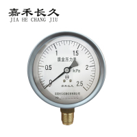 嘉禾长久 膜盒压力表检测型 YE100 块