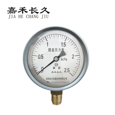 嘉禾长久 膜盒压力表检测型 YE100 0-2.5Kpa 块