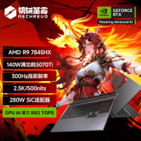 机械革命(MECHREVO)蛟龙16Pro 2025款 16英寸旗舰游戏本 强芯学生设计笔记本电脑锐龙版R9-7845HX RTX5070Ti 64G 1T 2.5K 定制 灰