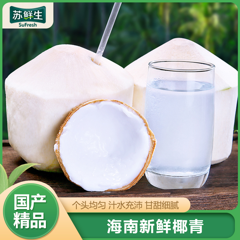 [苏鲜生]海南椰青 9个装 新鲜椰子 当季热带水果 汁水充沛