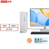 联想(Lenovo)小新台式机电脑整机(酷睿i5-13420H 16G内存 1T高速大容量固态硬盘 Win11 正版office)配23英寸显示器