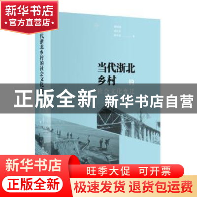 正版 当代浙北乡村的社会文化变迁 曹锦清 上海人民出版社 97872