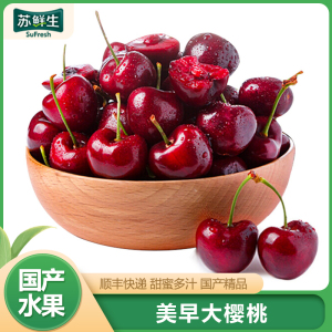 顺丰快递[苏鲜生]大连美早大樱桃 车厘子 JJJJ级 净重4.8斤