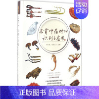 [正版]名贵中药材的识别与应用 罗兴洪,任晋生中草药药物药理分析药师专业图书 中医中成药大全书籍 中国医药科技出版社