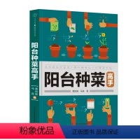 [正版]阳台种菜高手 花草园艺 蔬菜种植 阳台菜园