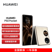 [送25W充电器]华为P50 Pocket 4G 12GB+512GB 金 艺术定制版 超光谱影像系统 骁龙888 4G全网 双卡 创新双屏操作体验 P50宝盒折叠屏手机