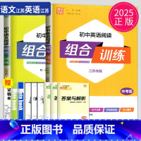 组合训练 中考语文+英语 九年级/初中三年级 [正版]2024初中英语阅读组合训练九年级全一册江苏译林版初三英语完形填空