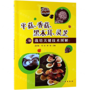 [M]平菇香菇黑木耳灵芝栽培关键技术图解-9787122340382