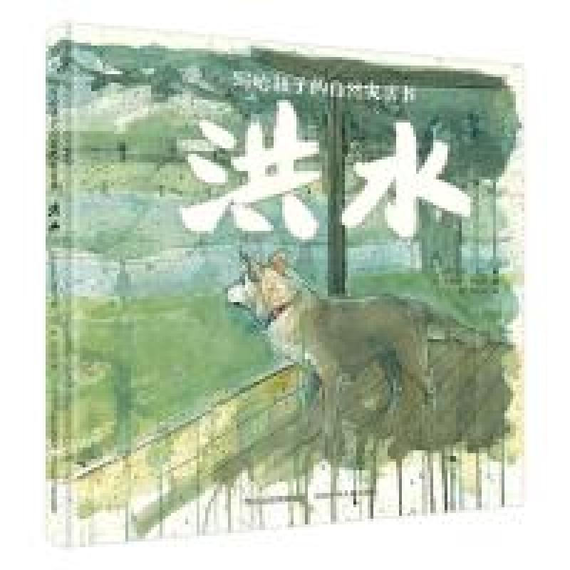 正版新书]写给孩子的自然灾害书-洪水[澳]杰西·弗兰9787559523